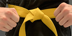 Yellow Belt