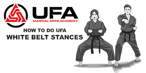 How to do the UFA HapKiDo White Belt Stances